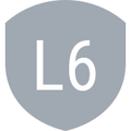 L61